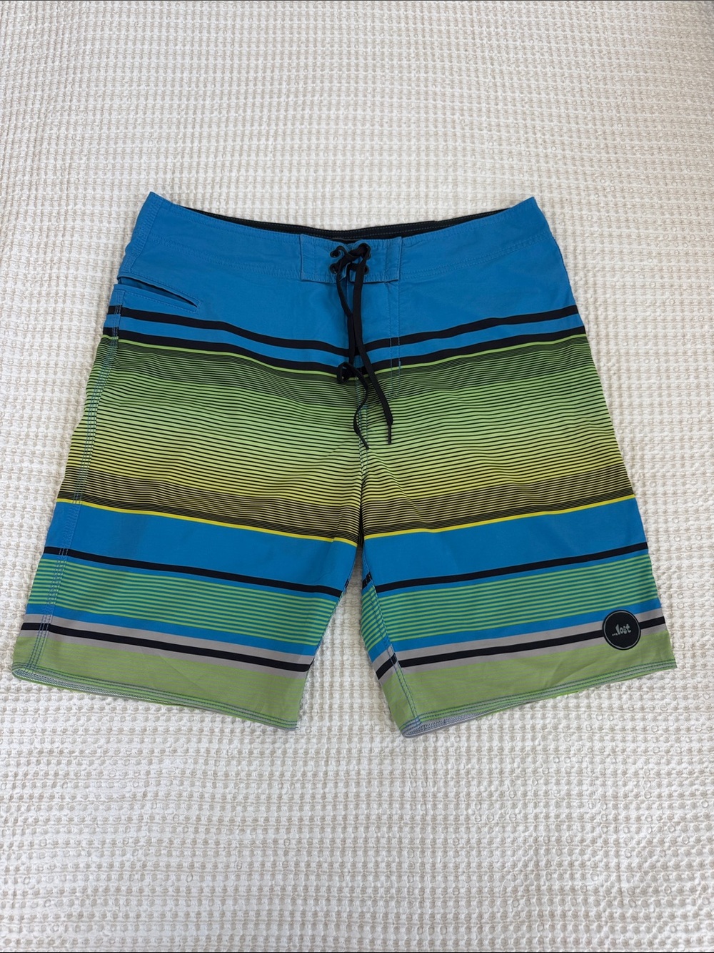 LOST Blue & Green Striped Men's Swim Trunks